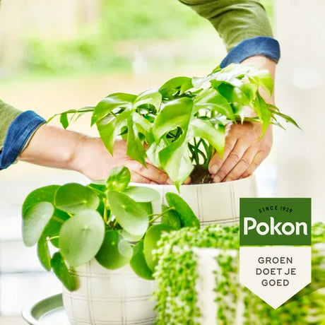 Pokon groene plantenvoeding, afbeelding met label 'groen doet je goed'