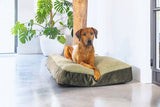 Designed by Lotte Yndis - Hondenkussen - Groen - 100x70x15 cm