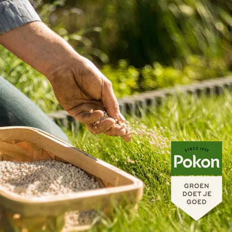 Pokon kalkstrooien: hand met korrels op groen gazon