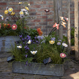 Solar vlinder metaal steady