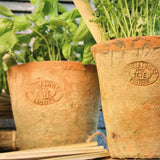 Esschert design - Aged Terracotta bloempot S set van 3