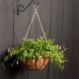 Set van 3 hanging basket kettingen- Esschert design