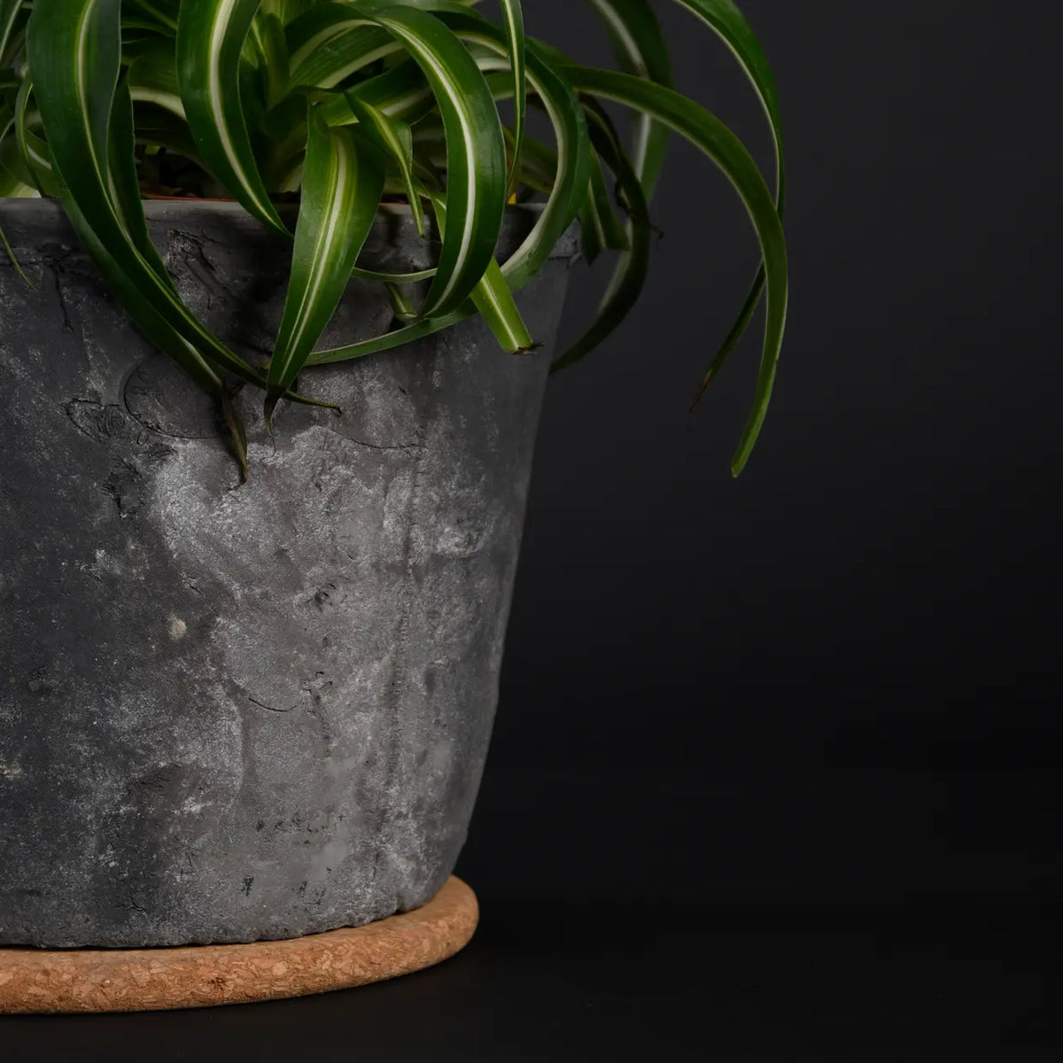 Onderzetter maat S van kurk 10cm - Esschert design