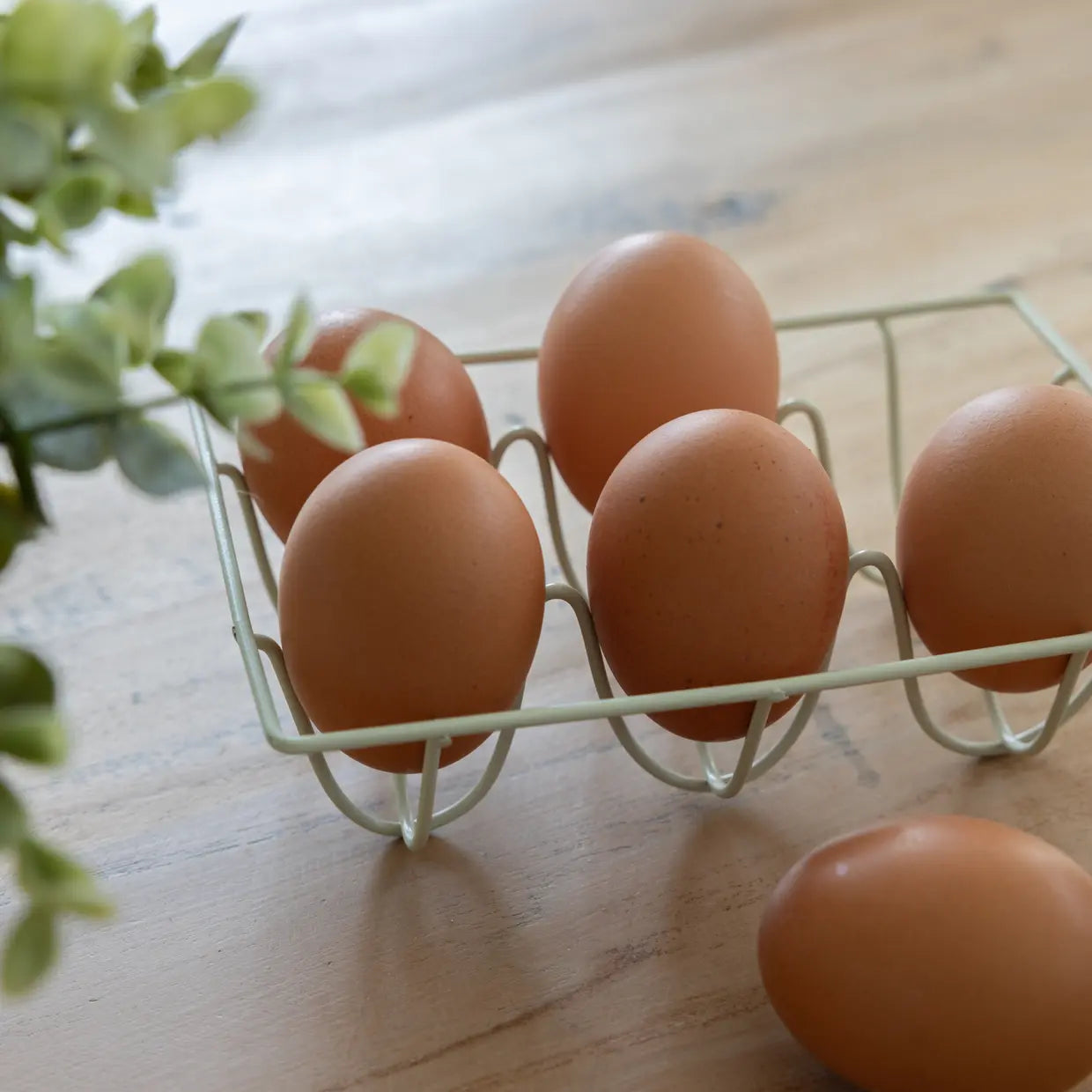 Eier tray metaal voor 6 eieren - Esschert design