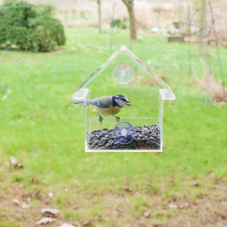 Acryl raamvoedertafel in huisvorm met zuignap en voerbak voor vogels