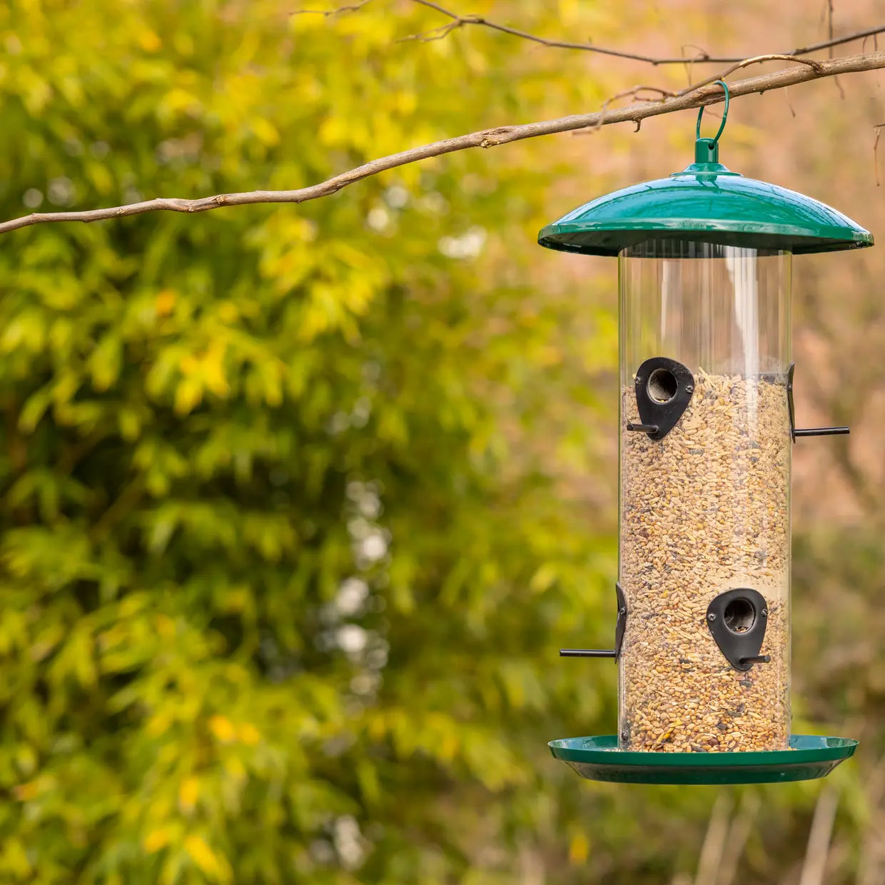 Vogelvoedersilo aan tak met groene kap, doorzichtige tube en zaden