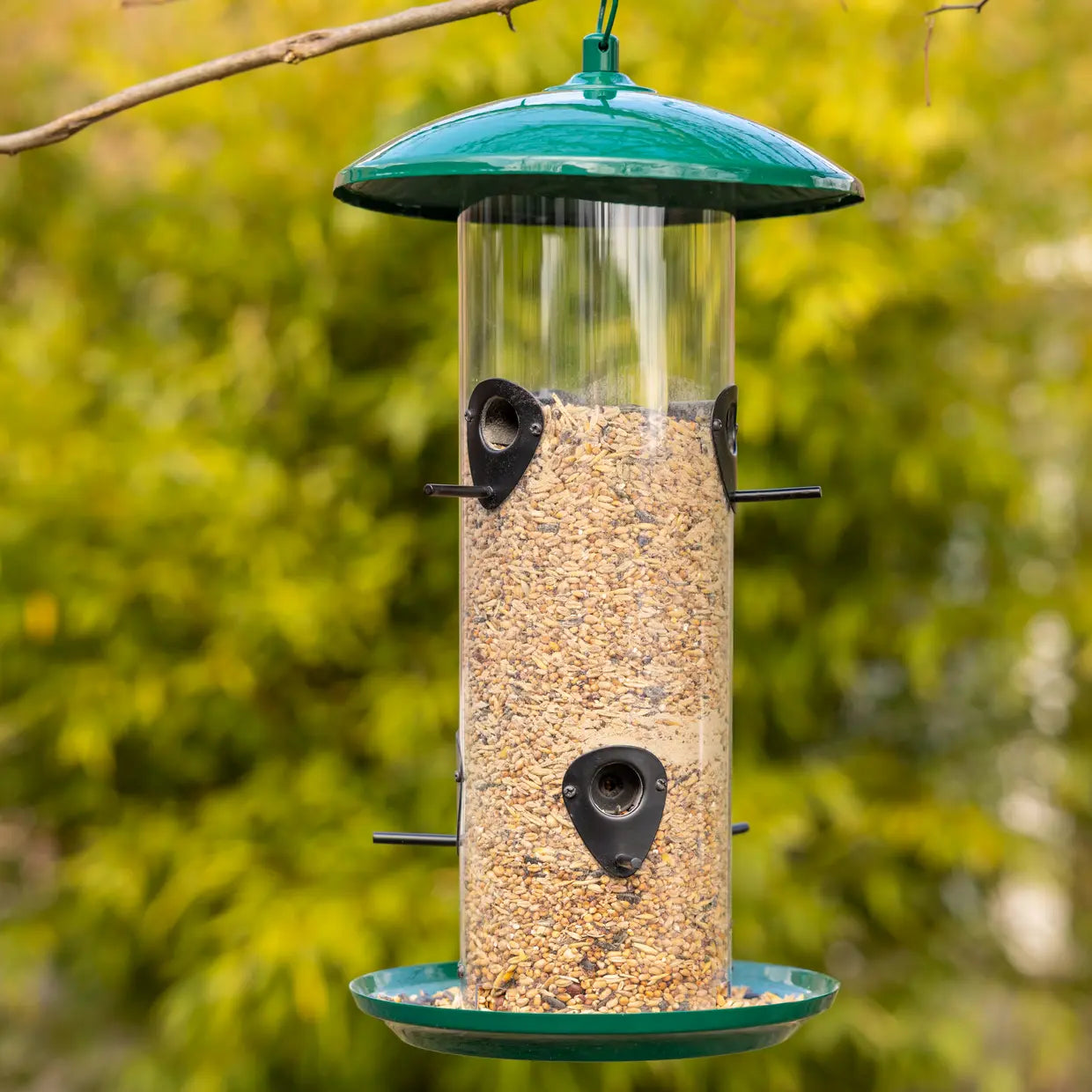Vogelvoedersilo aan tak met groene kap boven doorzichtige tube met zaden