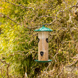 Vogelvoedersilo aan boomtak met groene kap en doorzichtige tube met zaden