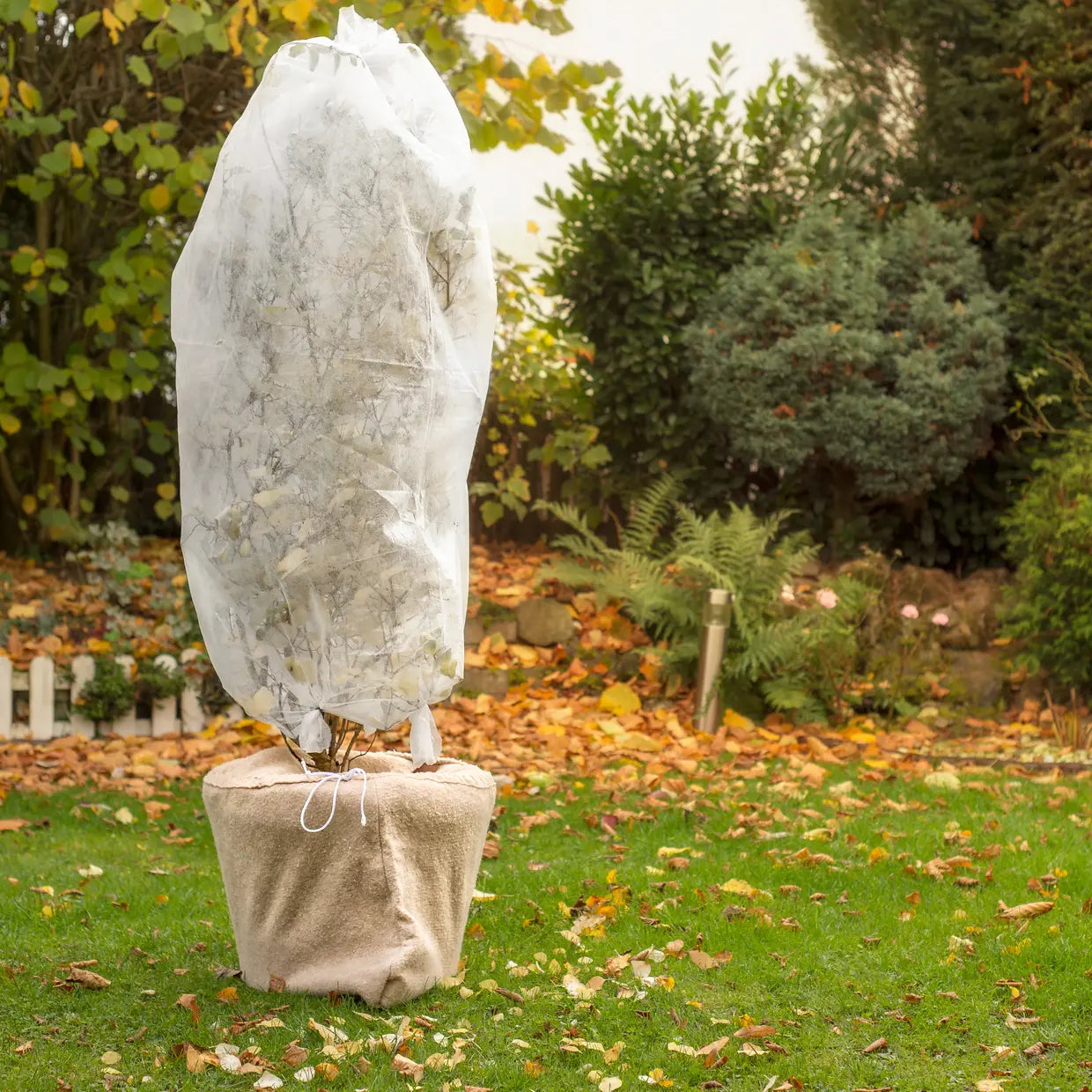 Wintervlies voor beschermen tuinplanten 1x10m - Esschert design