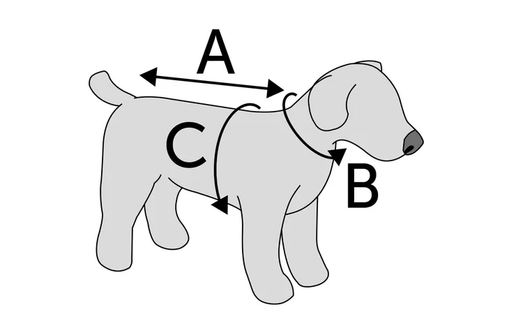 Maatschema hondenjas met maatlabels A, B en C op silhouet.