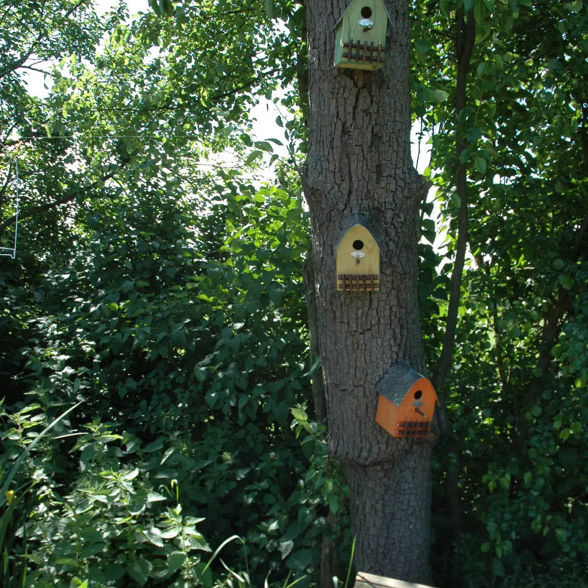 Gemonteerde houten nestkast met ronde ingang en metalen plaat, in oranje kleuraccent.