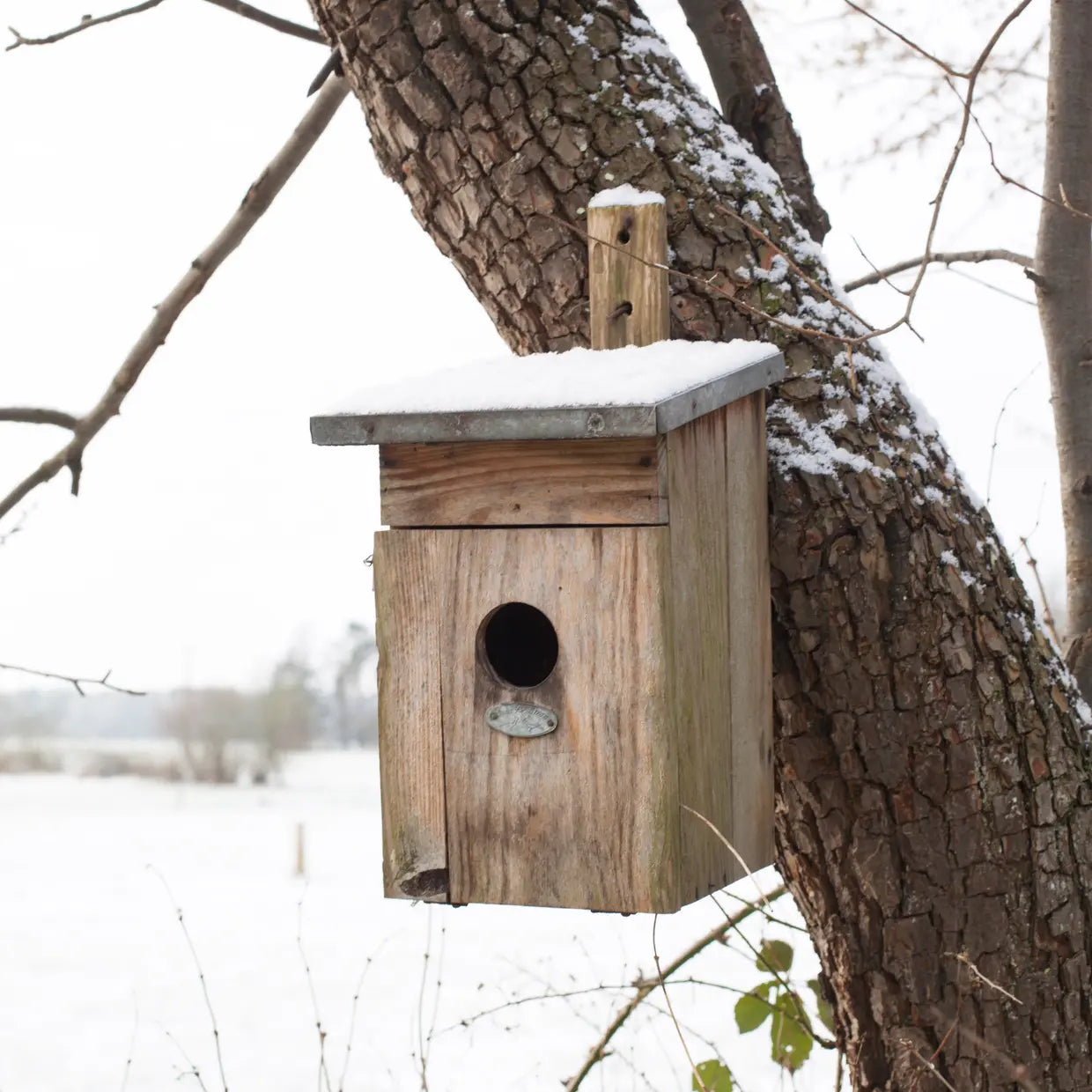 Esschert design - Nestkast Spreeuw
