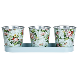 Esschert design - Roosprint 3 potjes op tray