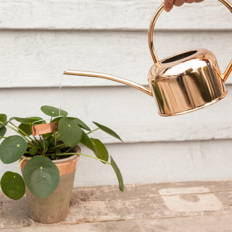 Esschert design - Plantengieter goud 1 liter