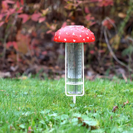Vliegenzwam regenmeter met rode dop en meetbuis, met witte poten voor in de tuin
