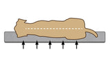 Orthopedisch hondenkussen met opwaartse ondersteuning (illustratie)