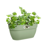 Elho vibia campana plantenbak met easy hanger met groene plant, pistachegroen