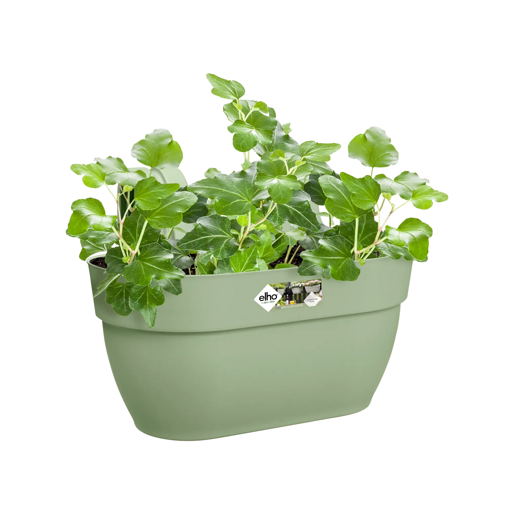 Elho vibia campana plantenbak met easy hanger met groene plant, pistachegroen