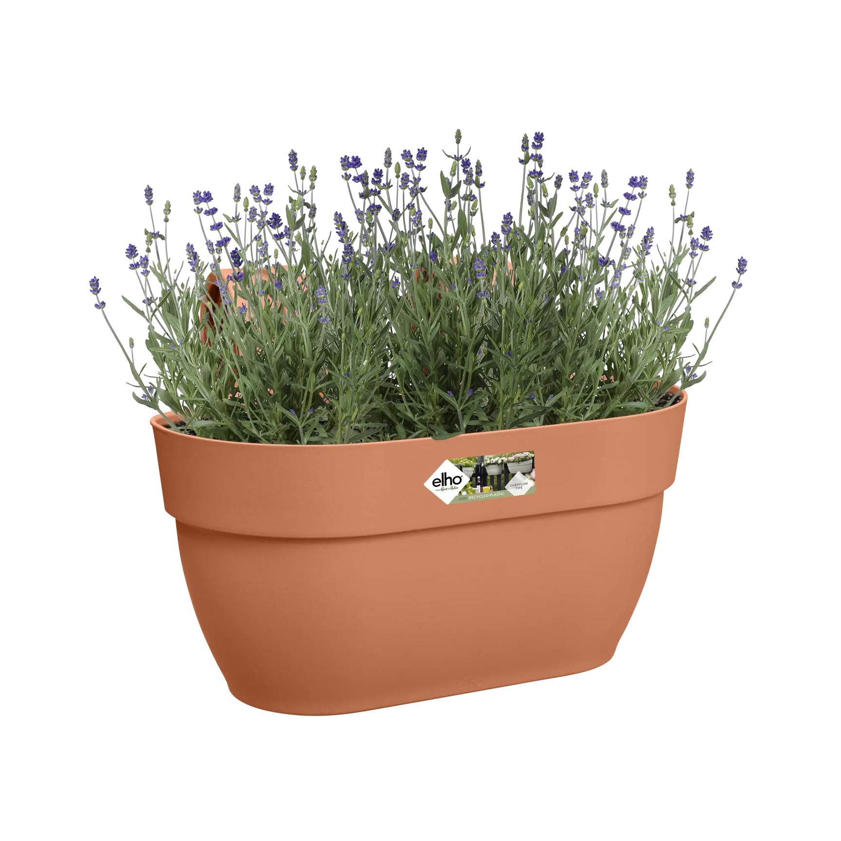 Elho vibia campana easy hanger bloempot medium, terra bruin, gevuld met bloemen