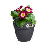 Elho - vibia campana easy hanger small antraciet