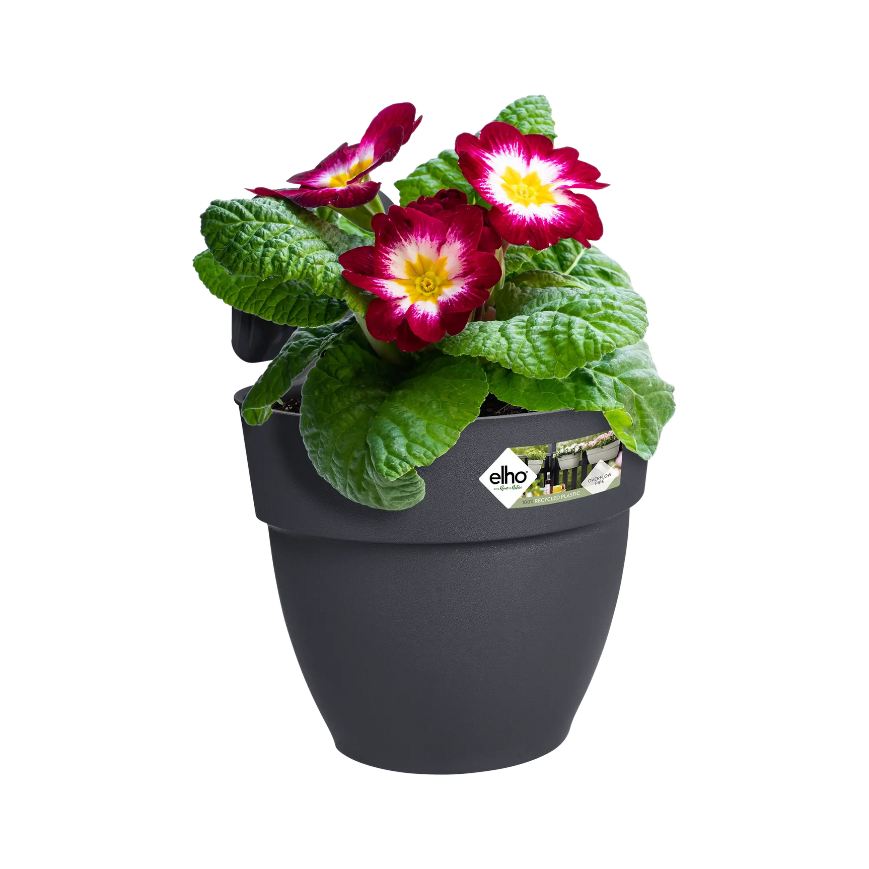 Elho - vibia campana easy hanger small antraciet