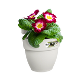 Elho - vibia campana easy hanger small zijdewit