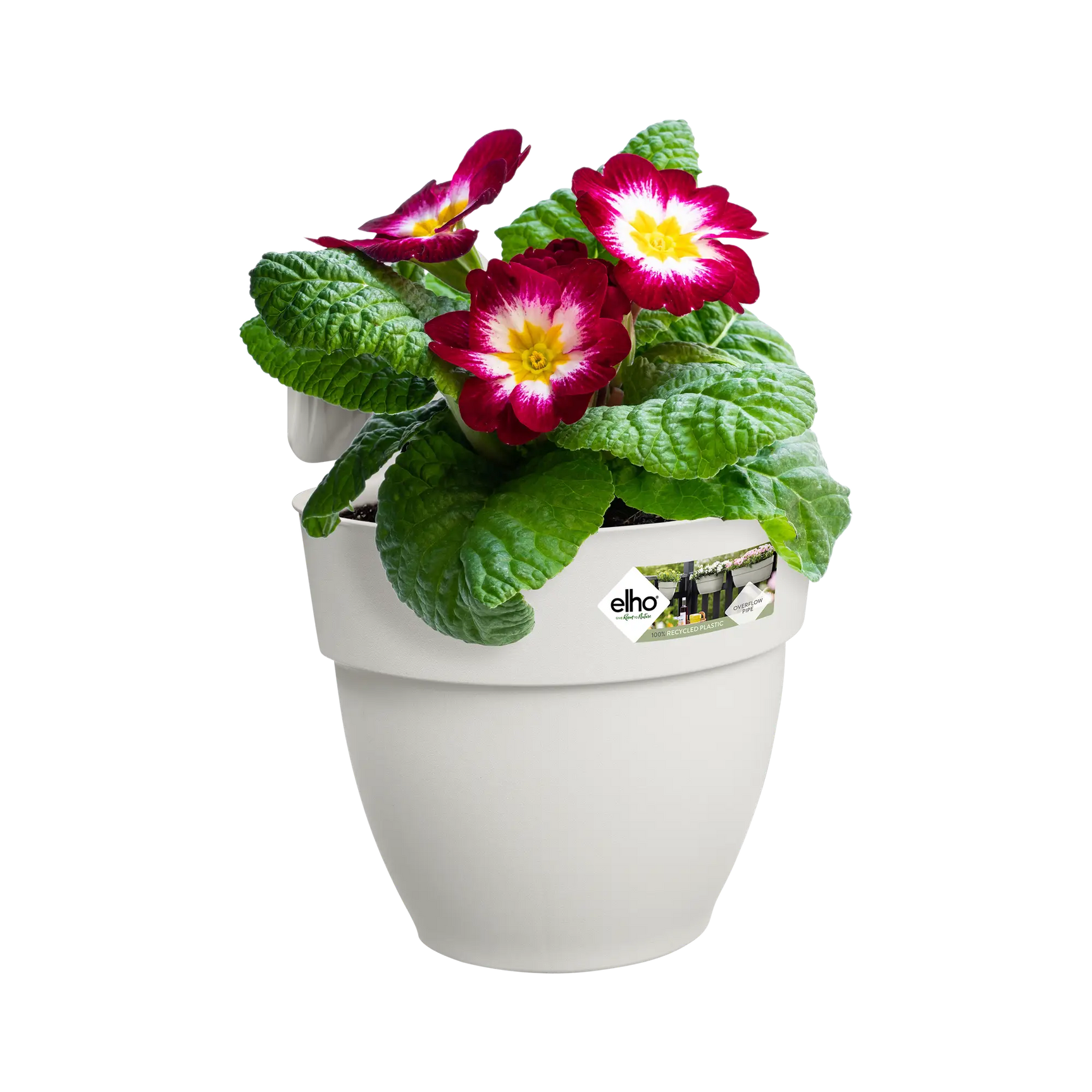 Elho - vibia campana easy hanger small zijdewit