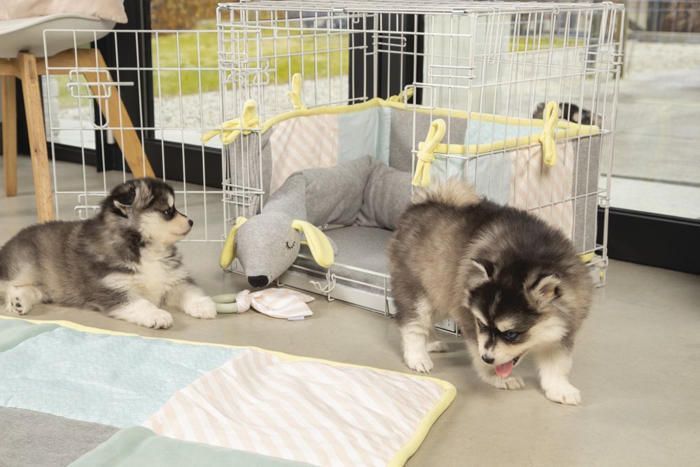 Beeztees - puppy knuffel cosy doggy gr