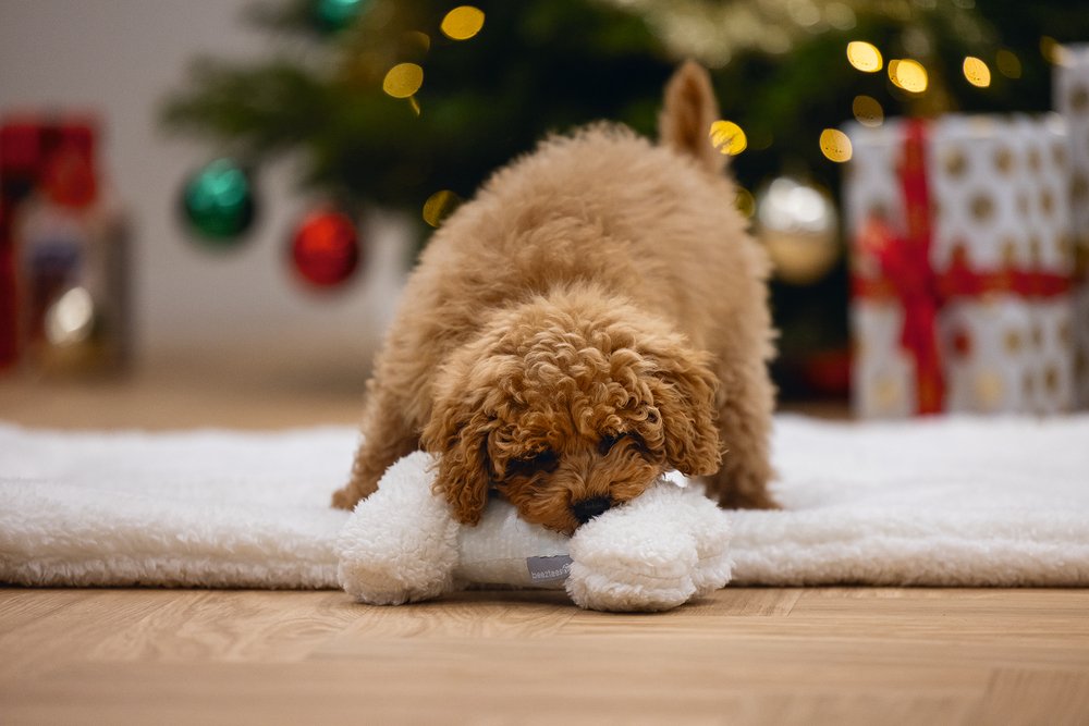 Beeztees - puppy speelbot renda wit 20