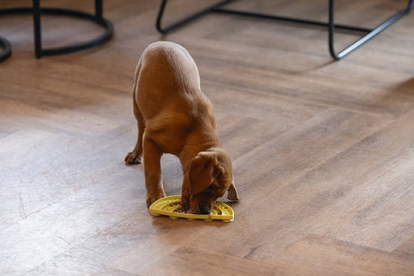 Gele likmat van siliconen met noppen, puppy gebruikt hem om te likken