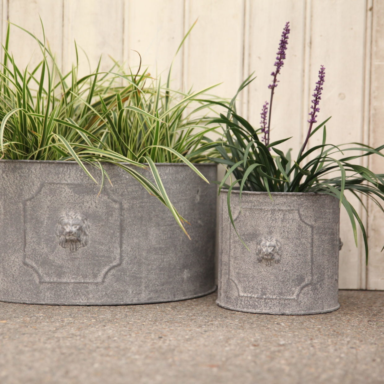 Esschert design - Aged Metal bloempot Leeuw halfrond set van 2