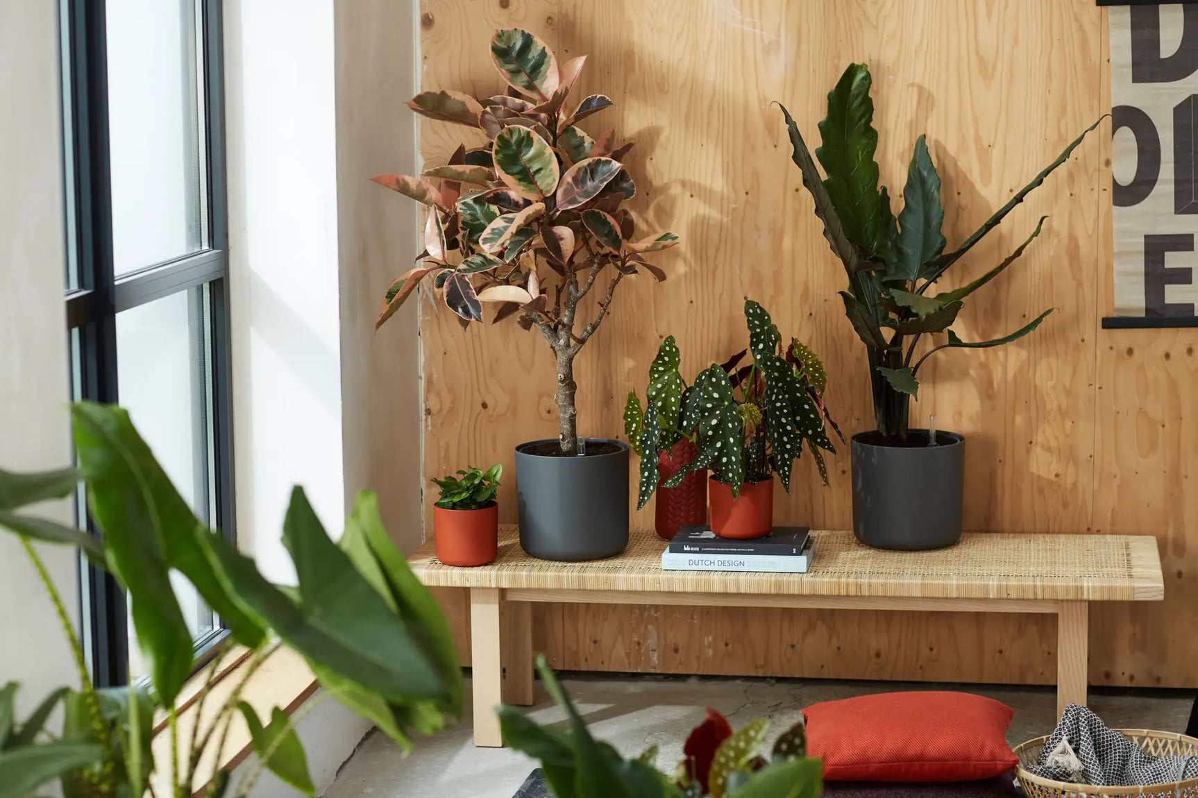 Elho - b.for soft round 14cm anthracite