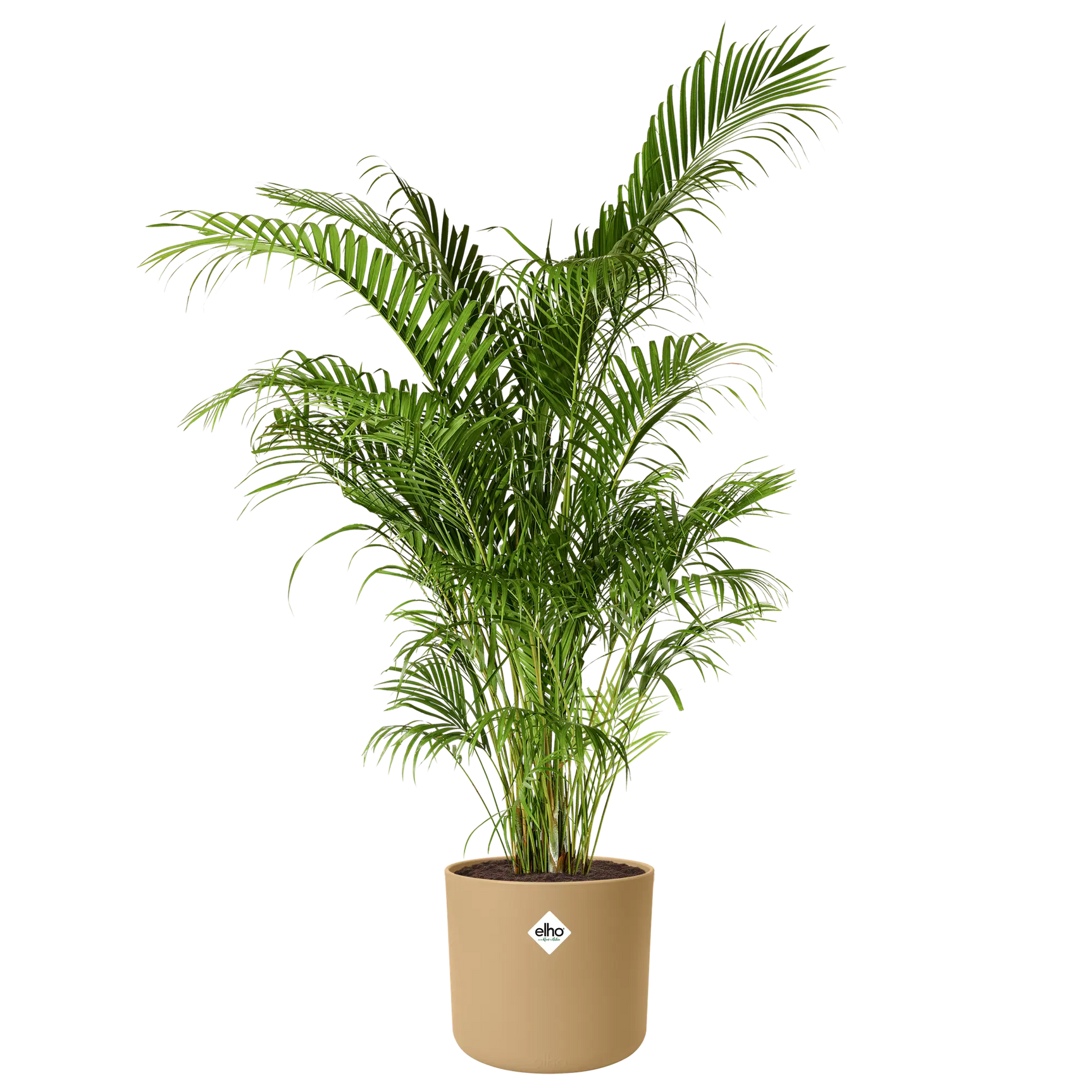 Elho b.for soft ronde pot met groene plant, zandkleurig