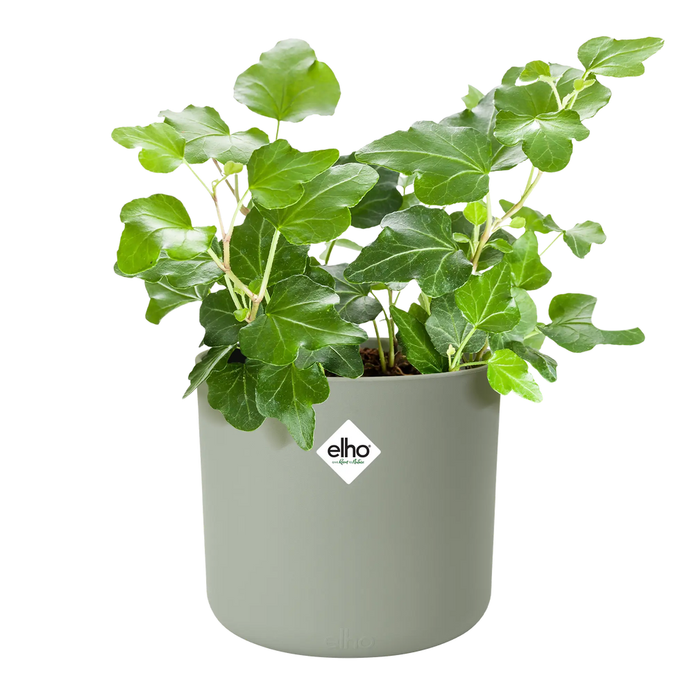 Elho b.for soft ronde plantenpot met groene bladplanten, steengroen