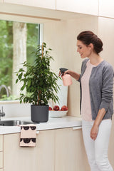 Elho - b.for soft round 16cm anthracite