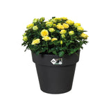 Elho - Green Basics Top Planter | Liv