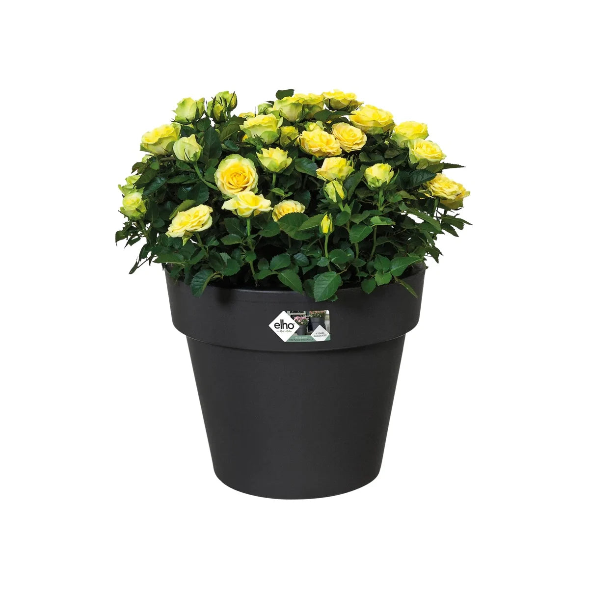 Elho - Green Basics Top Planter | Liv