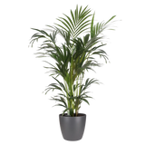 Ronde antraciet plantenpot met groen siergras