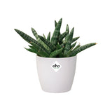 Witte Elho brussels mini ronde bloempot met groene plantbladeren
