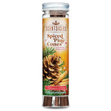 Geurstokjes voor in de kerstboom 6 stuks - Spiced Pine Cones