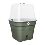 Elho - green basics kweekpot vierk. allin1 B 15 x H 12 x D 15 cm