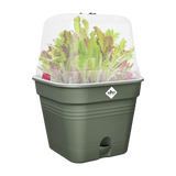 Elho - green basics kweekpot vierk. allin1 B 30 x H 25 x D 30 cm