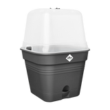 Elho - green basics kweekpot vierk. allin1 B 25 x H 21 x D 25 cm