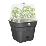 Elho - green basics kweekpot vierk. allin1 B 30 x H 25 x D 30 cm