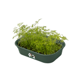 Elho - green basics kweektray s