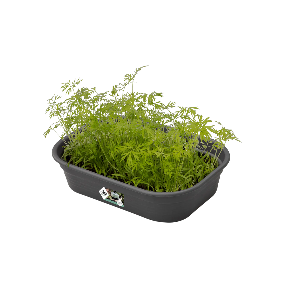 Elho - green basics kweektray s B 24 x H 6 x D 17 cm