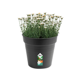 Elho - gb growpot 30cm living black