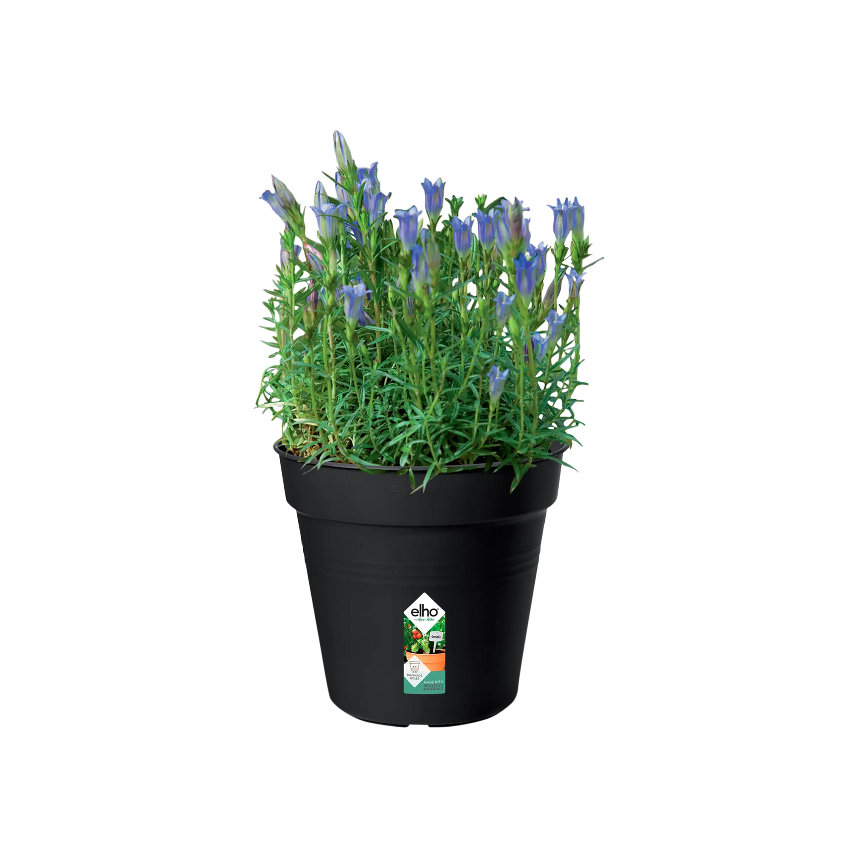 Elho - gb growpot 17cm living black