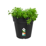 Elho - gb growpot 24cm living black