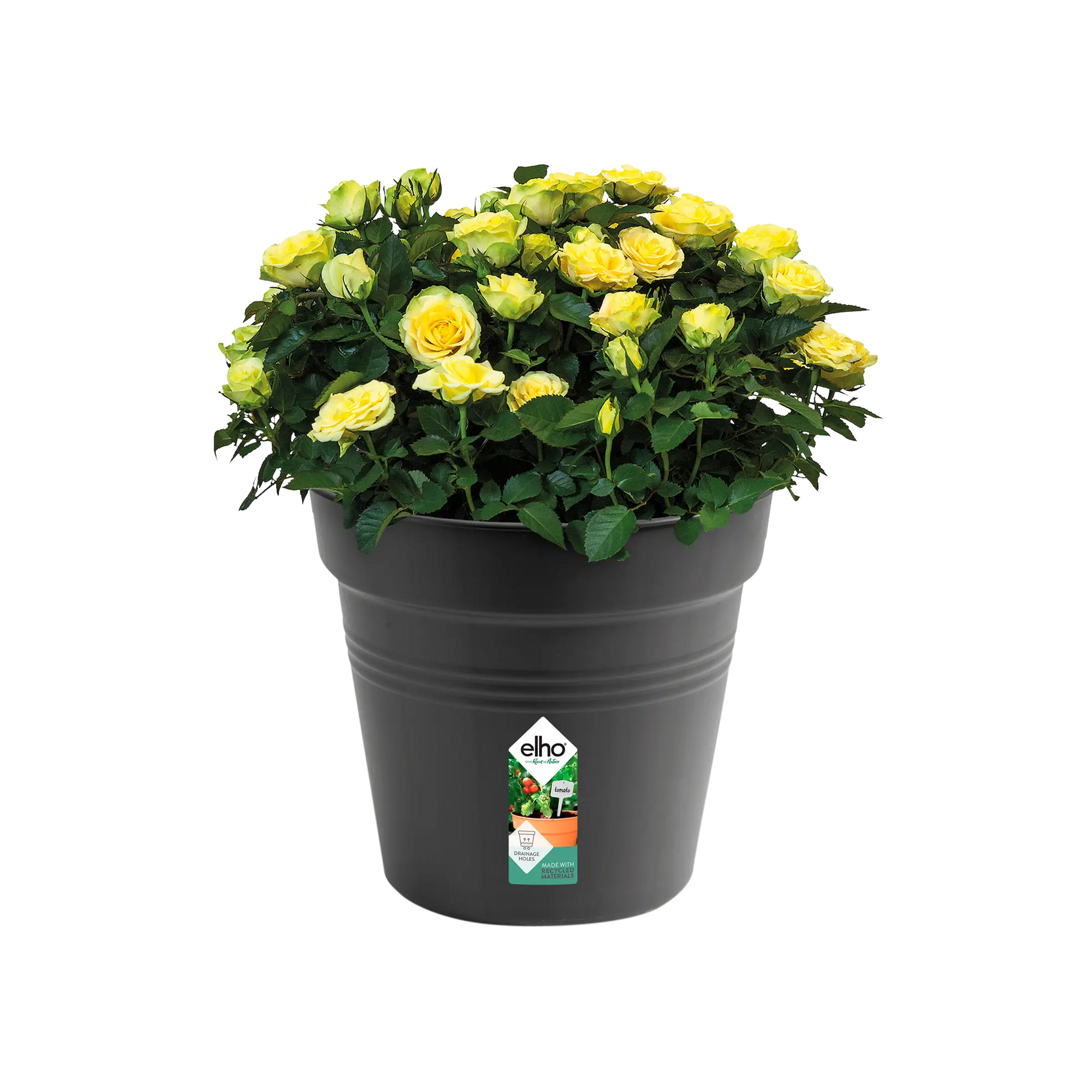 Elho - gb growpot 40cm living black